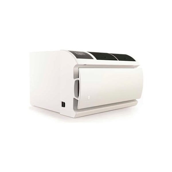 Friedrich Friedrich® WallMaster® Wall Air Conditioner W/ Heat Pump